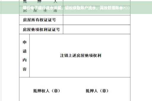 建行电子银行流水详解，轻松获取账户流水，高效管理账单?⚡️
