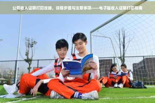 公司收入证明打印攻略，详细步骤与注意事项——电子版收入证明打印指南