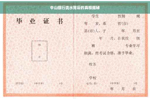 中山银行流水背后的真相揭秘