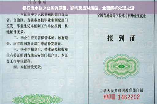 银行流水缺少业务的原因、影响及应对策略，全面解析处理之道