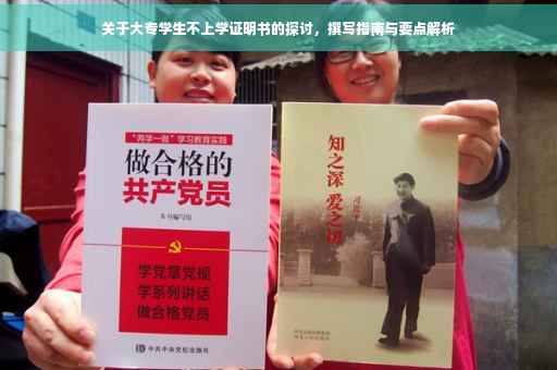 关于大专学生不上学证明书的探讨，撰写指南与要点解析