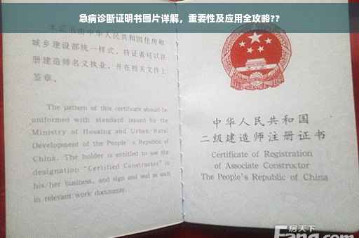 急病诊断证明书图片详解，重要性及应用全攻略??