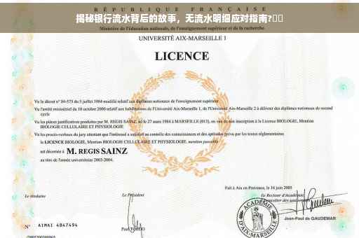 揭秘银行流水背后的故事，无流水明细应对指南?⚡️