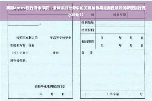 英国amex银行流水详解，全球金融业务中的关键角色与重要性及如何获取银行流水证明??