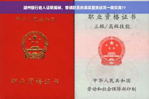 湖州银行收入证明揭秘，普通职员的真实薪资状况一窥究竟??