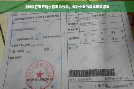 揭秘银行百万流水背后的故事，金融业务的真实面貌探究
