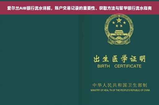 爱尔兰AIB银行流水详解，账户交易记录的重要性、获取方法与留学银行流水指南