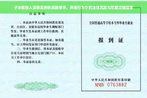 子女假收入证明买房的风险警示，购房行为中的法律风险与犯罪边缘探索