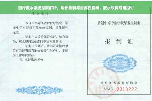 银行流水系统深度解析，运作机制与重要性揭秘，流水软件应用探讨