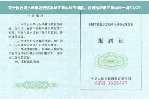 关于银行流水账单收费情况及注意事项的详解，收费标准与注意事项一网打尽??