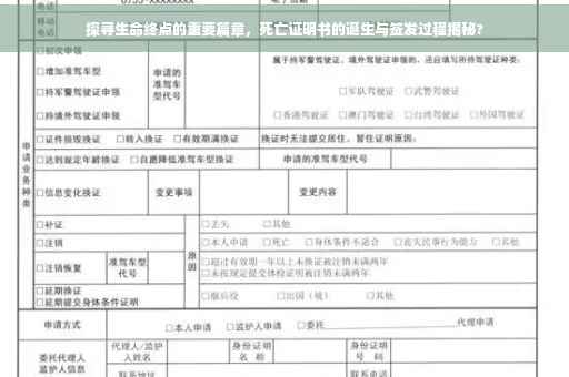 探寻生命终点的重要篇章，死亡证明书的诞生与签发过程揭秘?