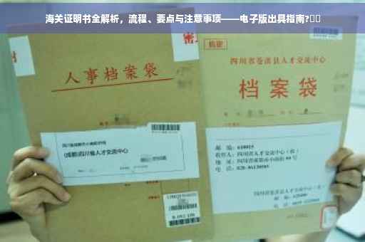 海关证明书全解析，流程、要点与注意事项——电子版出具指南?⚡️
