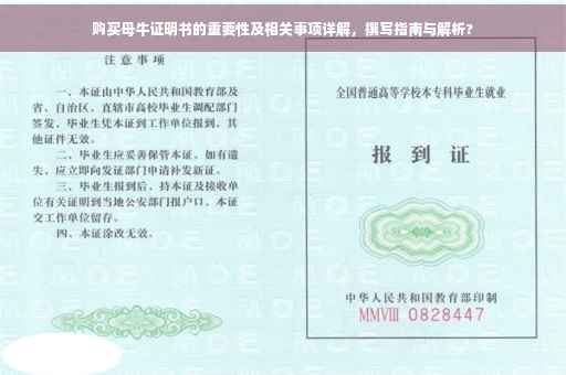 购买母牛证明书的重要性及相关事项详解，撰写指南与解析?