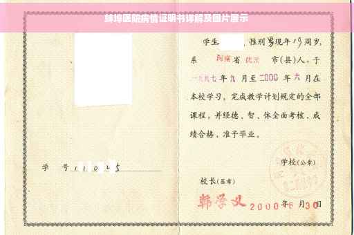 蚌埠医院病情证明书详解及图片展示