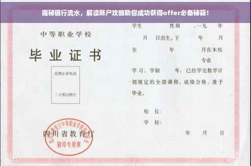 揭秘银行流水，解读账户攻略助你成功获得offer必备秘籍！
