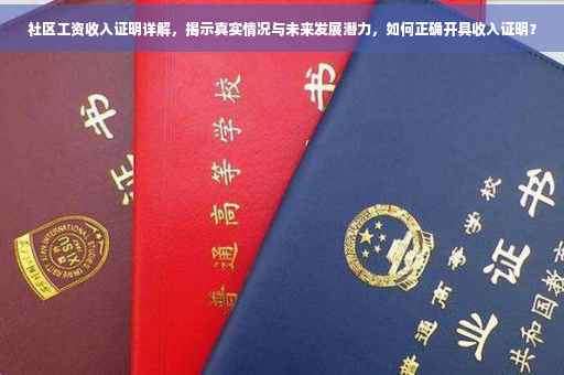 社区工资收入证明详解，揭示真实情况与未来发展潜力，如何正确开具收入证明？