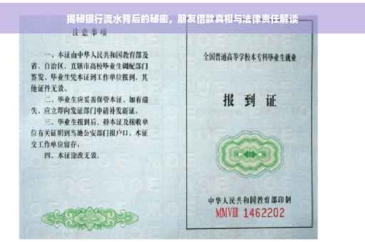 揭秘银行流水背后的秘密，朋友借款真相与法律责任解读