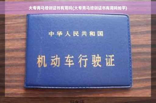 大专青马培训证书有用吗(大专青马培训证书有用吗知乎)