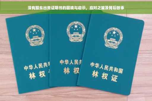 没有股东出资证明书的困境与启示，应对之策及背后故事
