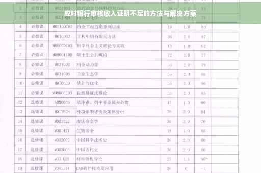 应对银行审核收入证明不足的方法与解决方案