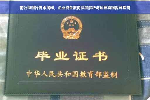 前公司银行流水揭秘，企业资金流向深度解析与运营真相探寻指南