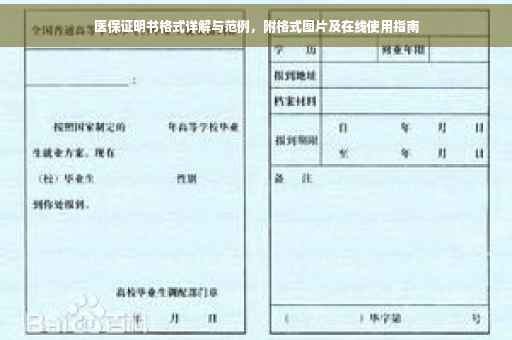 医保证明书格式详解与范例，附格式图片及在线使用指南