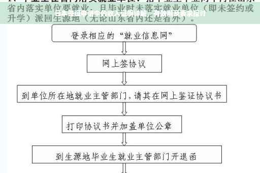 日本签证申请中的收入证明详解，有效期及要求探讨