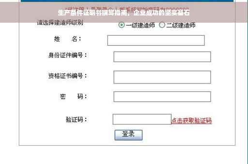 生产条件证明书撰写指南，企业成功的坚实基石