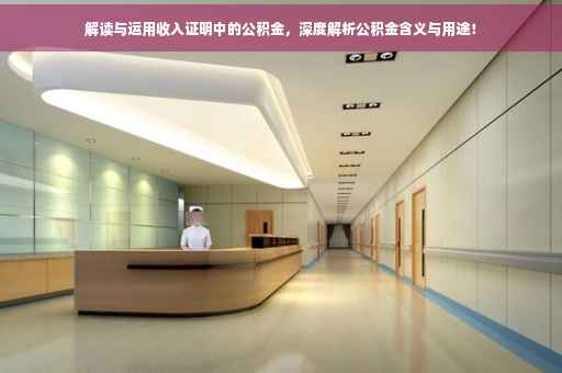 解读与运用收入证明中的公积金，深度解析公积金含义与用途！