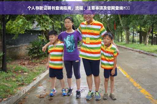 个人存款证明书查询指南，流程、注意事项及官网查询?⚡️