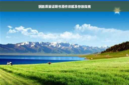 钢筋质量证明书原件详解及存放指南