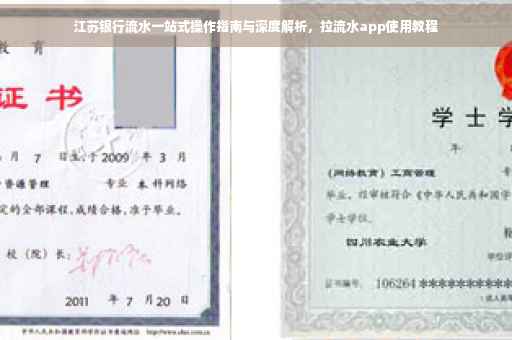 江苏银行流水一站式操作指南与深度解析，拉流水app使用教程