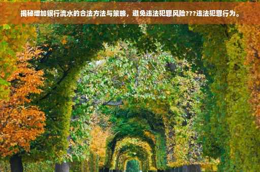 揭秘增加银行流水的合法方法与策略，避免违法犯罪风险???违法犯罪行为。