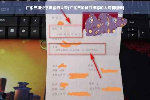 广东三加证书推荐的大专(广东三加证书推荐的大专有哪些)