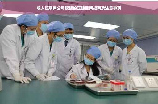 收入证明用公司模板的正确使用指南及注意事项