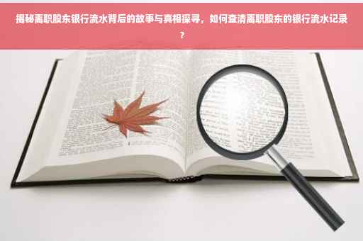 揭秘离职股东银行流水背后的故事与真相探寻，如何查清离职股东的银行流水记录？