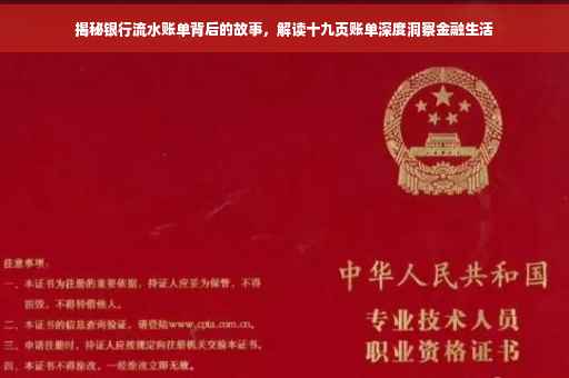 揭秘银行流水账单背后的故事，解读十九页账单深度洞察金融生活