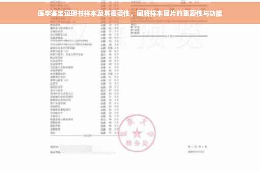 医学鉴定证明书样本及其重要性，图解样本图片的重要性与功能