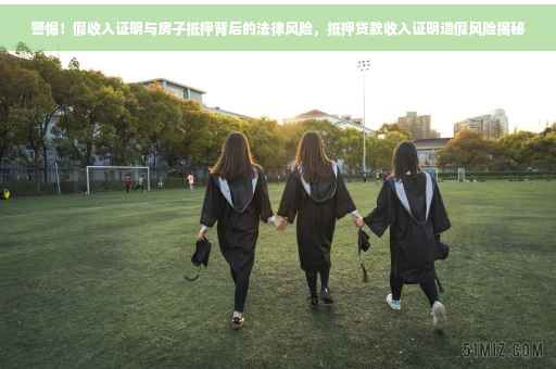 警惕！假收入证明与房子抵押背后的法律风险，抵押贷款收入证明造假风险揭秘
