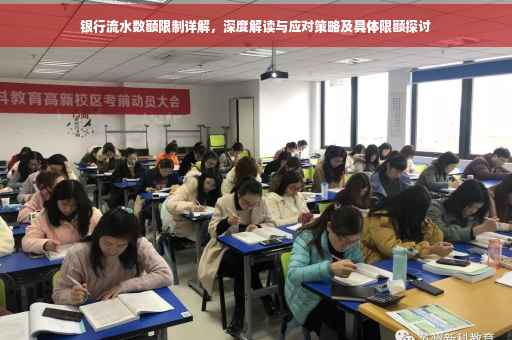 银行流水数额限制详解，深度解读与应对策略及具体限额探讨