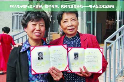 BOA电子银行流水详解，操作指南、优势与注意事项——电子版流水全解析