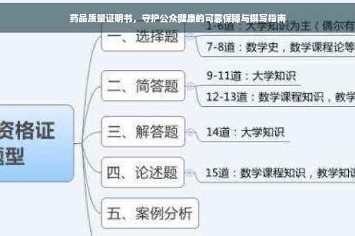 药品质量证明书，守护公众健康的可靠保障与撰写指南