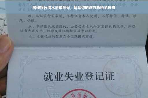揭秘银行流水清单序号，解读你的财务脉络全攻略