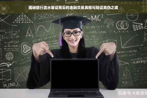 揭秘银行流水鉴证背后的金融交易真相与验证真伪之道