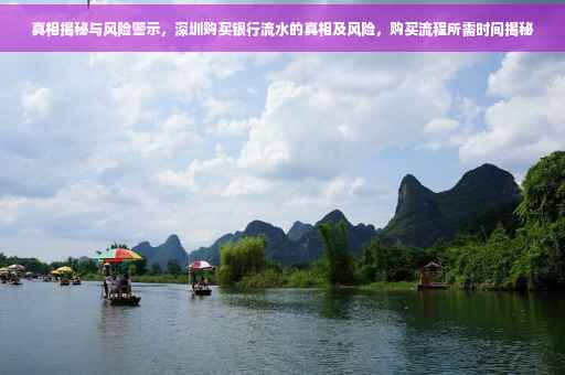 真相揭秘与风险警示，深圳购买银行流水的真相及风险，购买流程所需时间揭秘