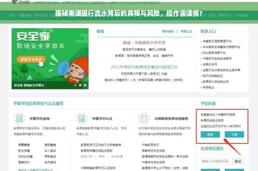 揭秘南通银行流水背后的真相与风险，操作需谨慎?