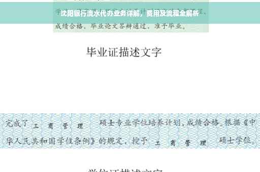 沈阳银行流水代办业务详解，费用及流程全解析