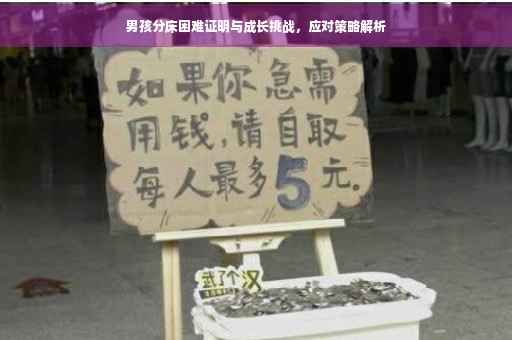 男孩分床困难证明与成长挑战，应对策略解析