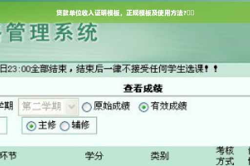 贷款单位收入证明模板，正规模板及使用方法?⚡️