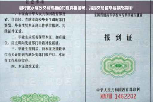 银行流水篡改交易背后的犯罪真相揭秘，揭露交易信息被篡改真相！